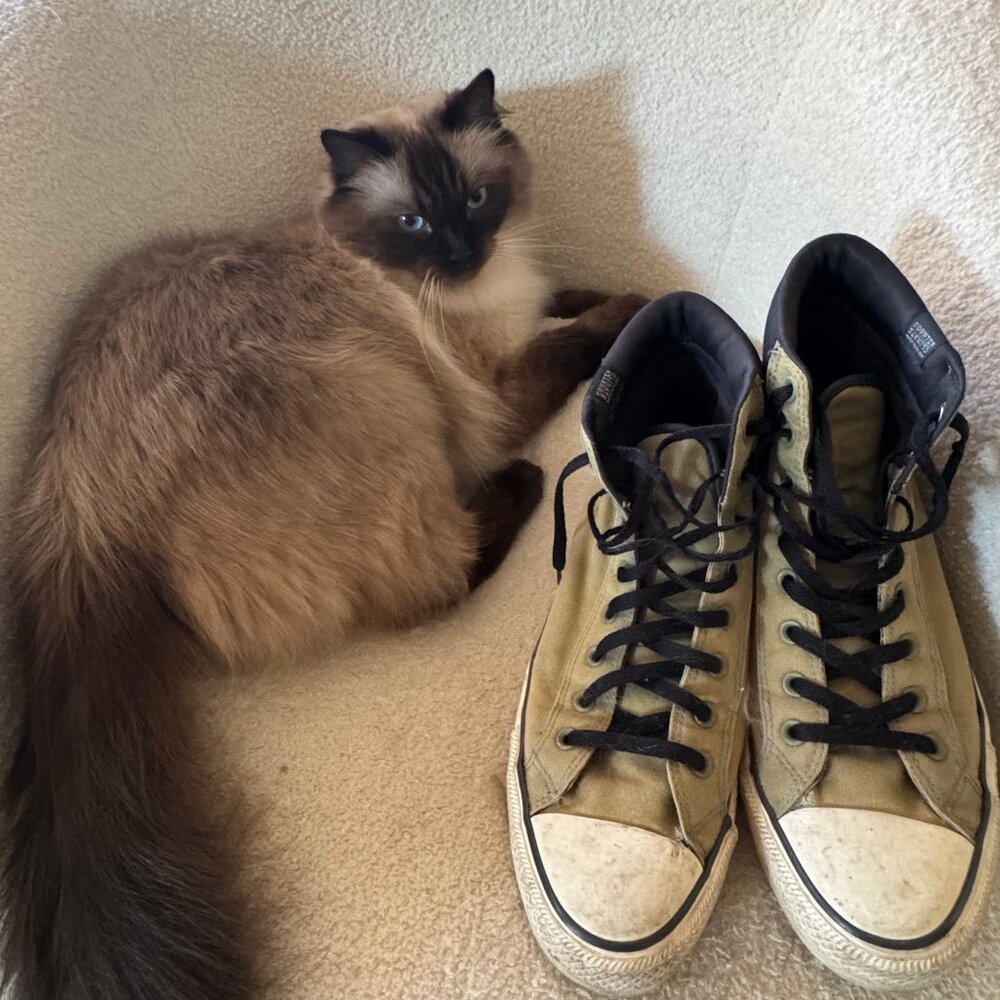 Worn Green Converse